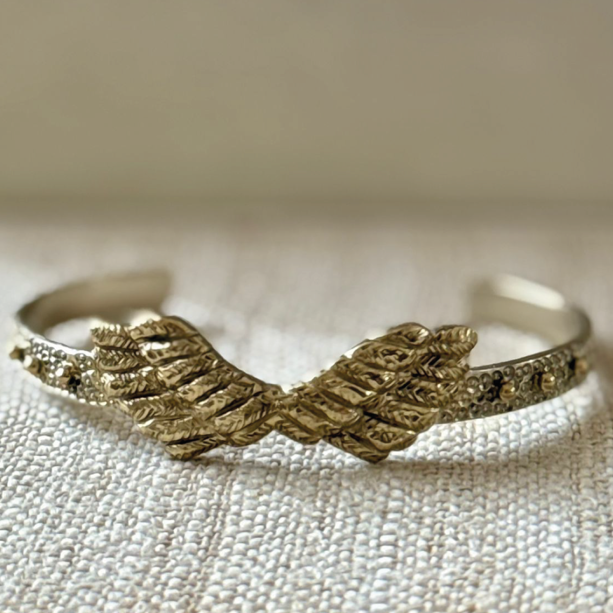 Anillo alas